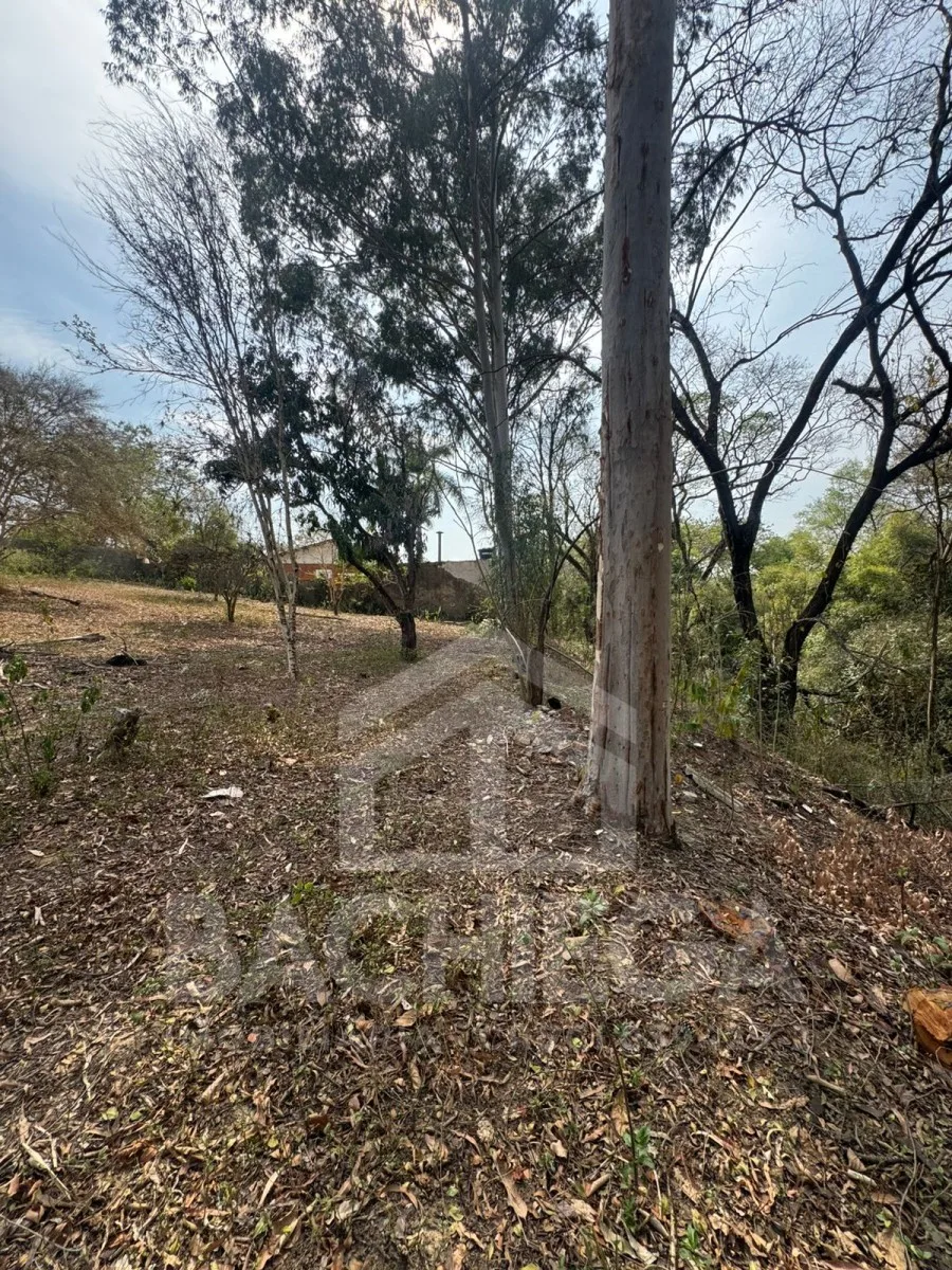 Terreno - Bosque dos Pinheiros